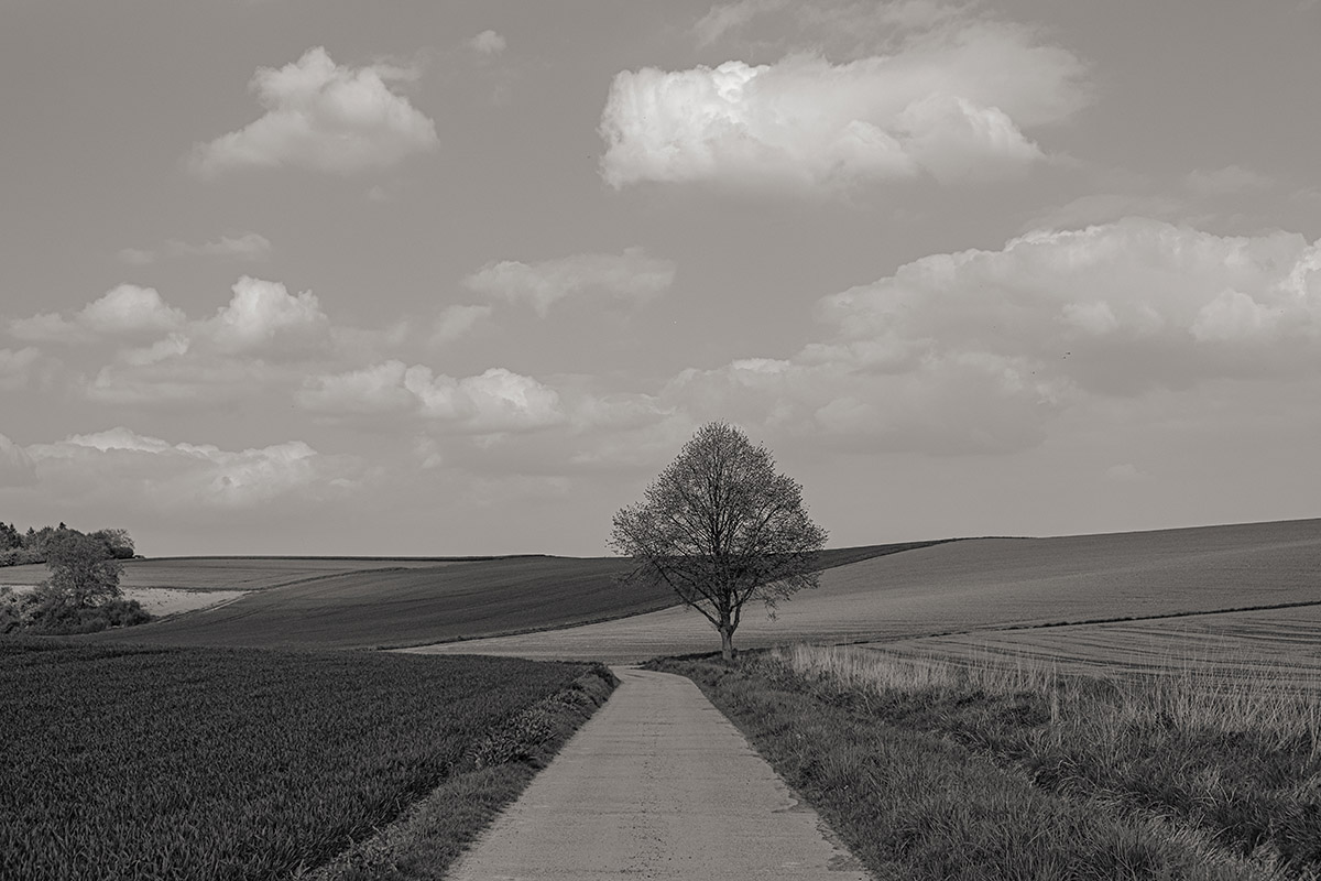 The Road Less Traveled 