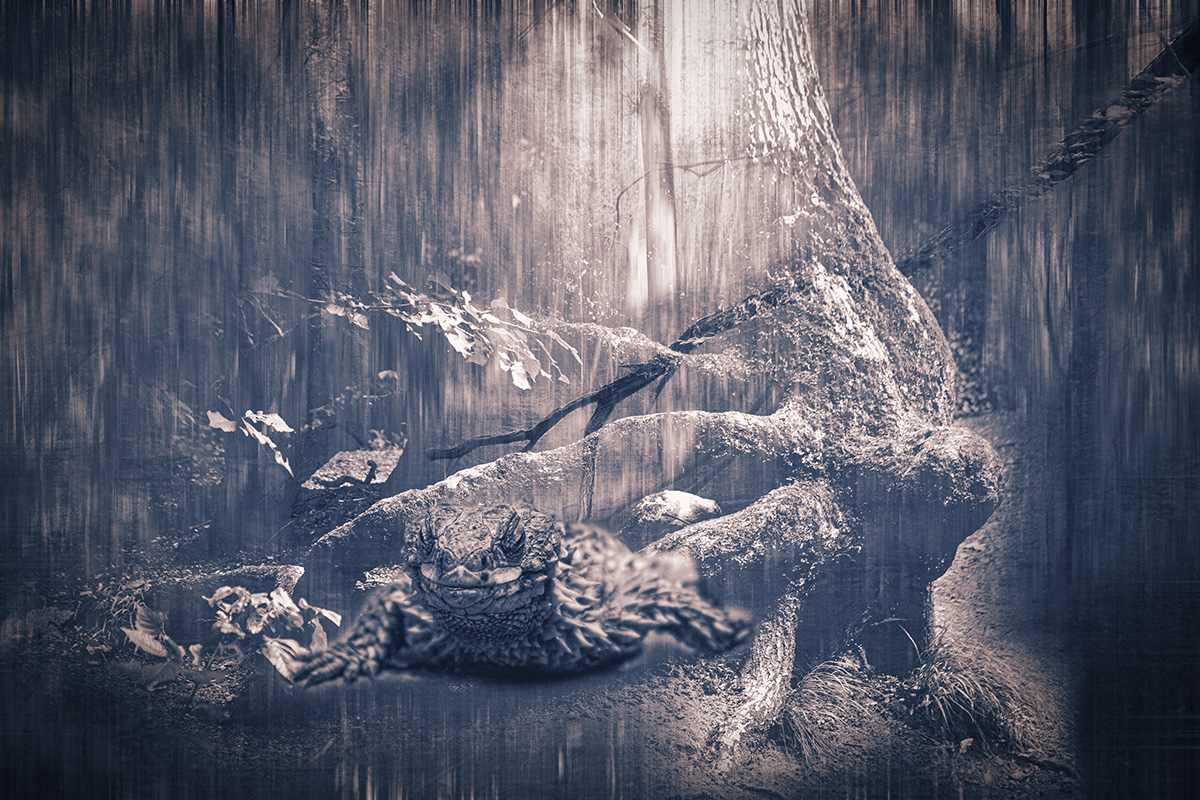 Living Under The Trees