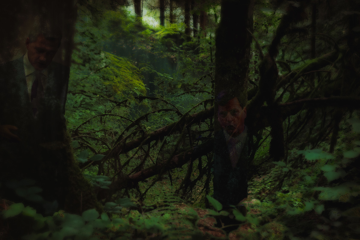 In The Heart Of The Woods