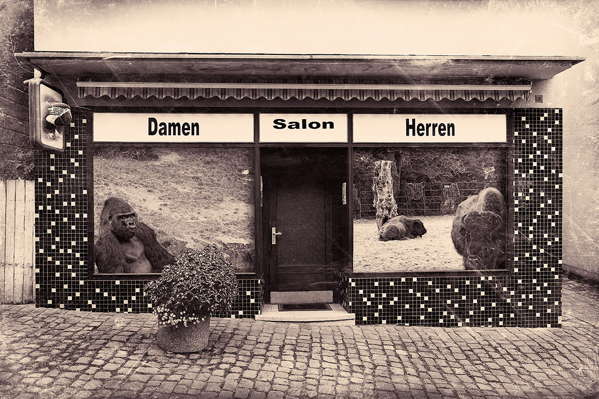 Damen Salon Herren