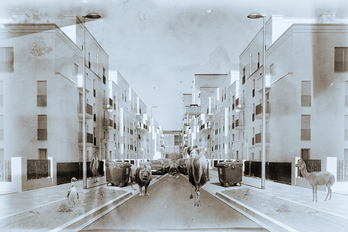 Our Friends and Neighbours 