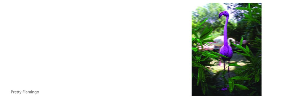 Pretty Flamingo (sample page)