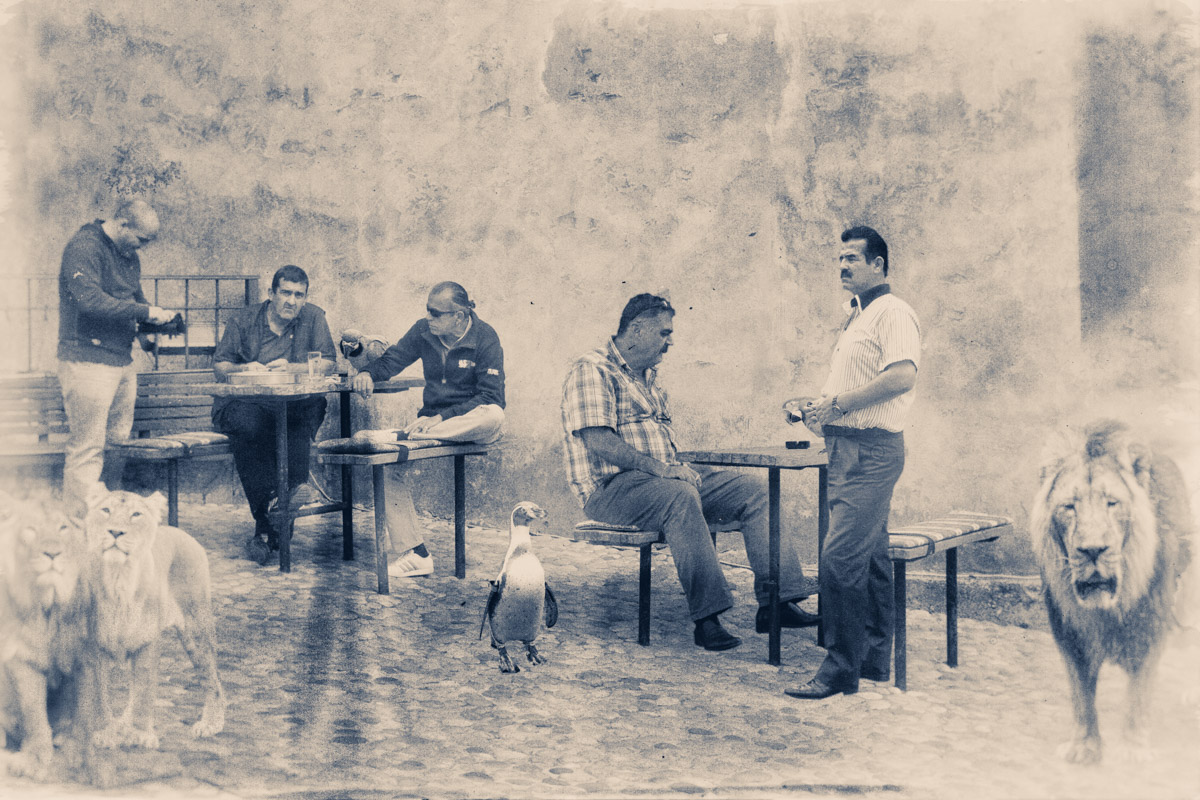 An Examination of Eating&nbsp;Habits