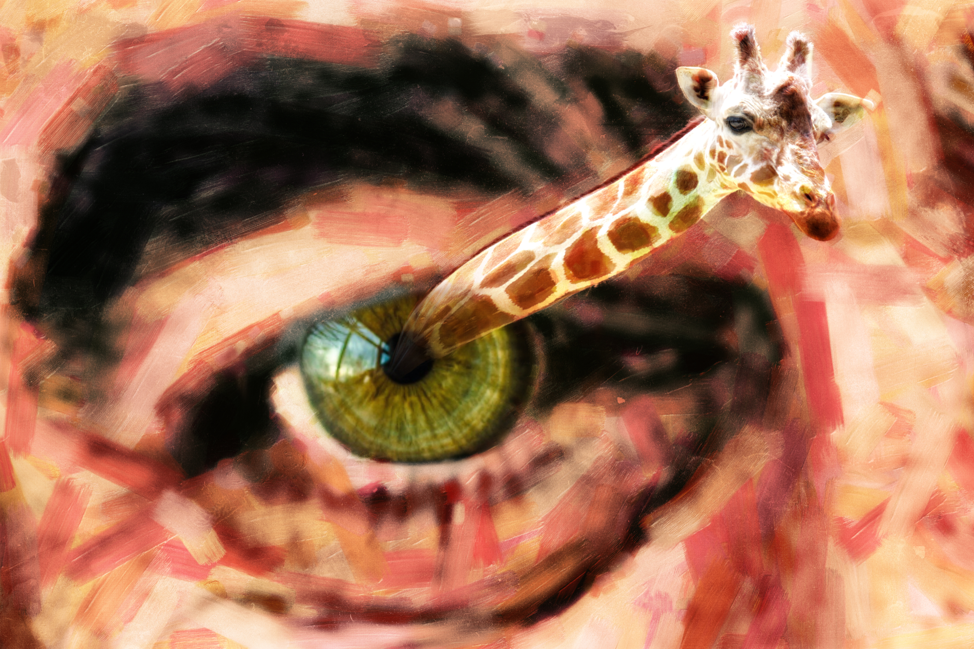 As Far As The Eye Can See