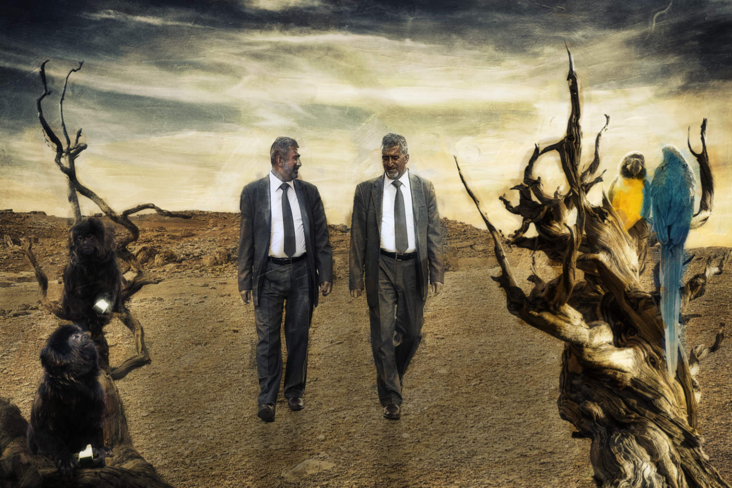 Reunited, After a Week Apart