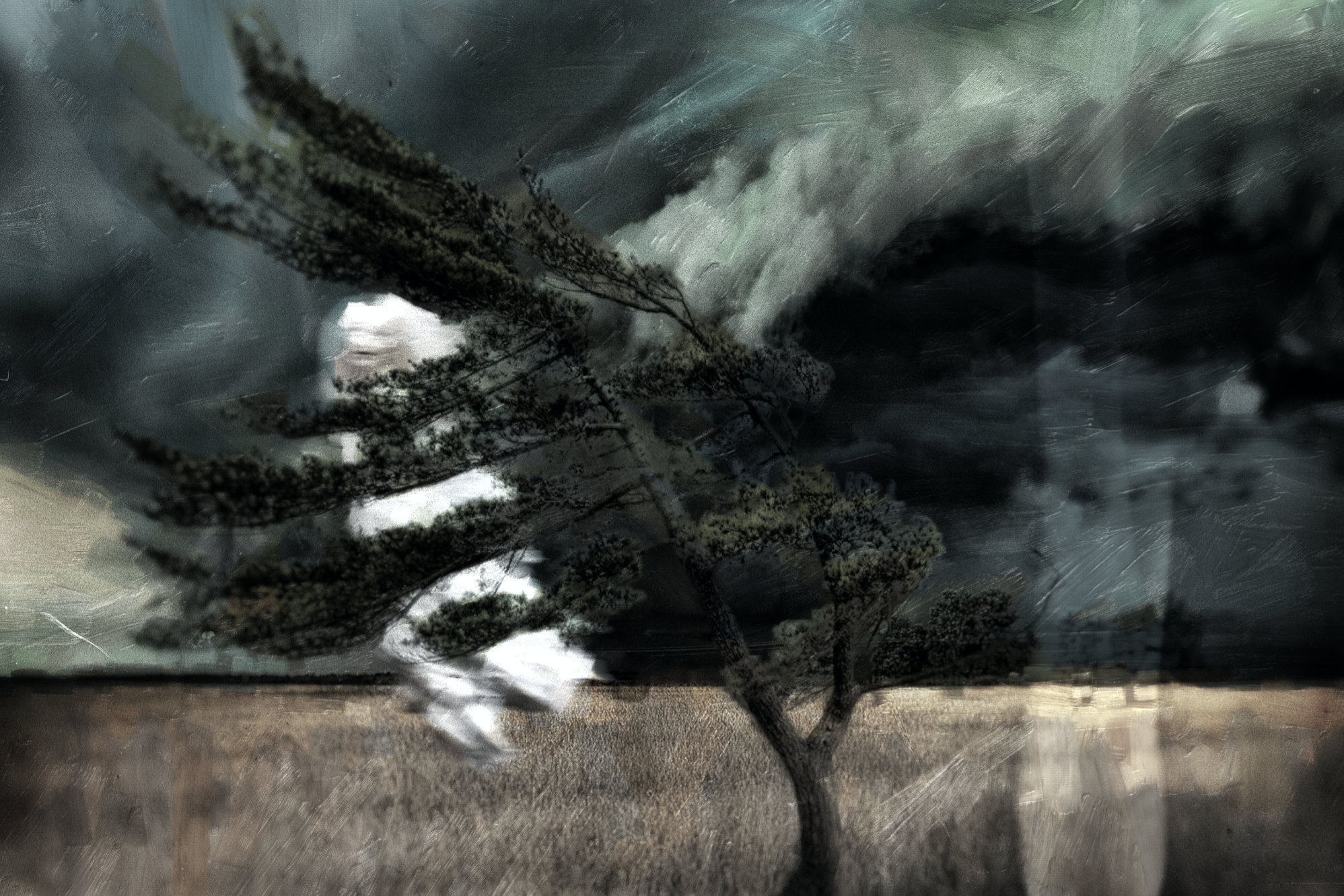 The Wind Is Still Whispering