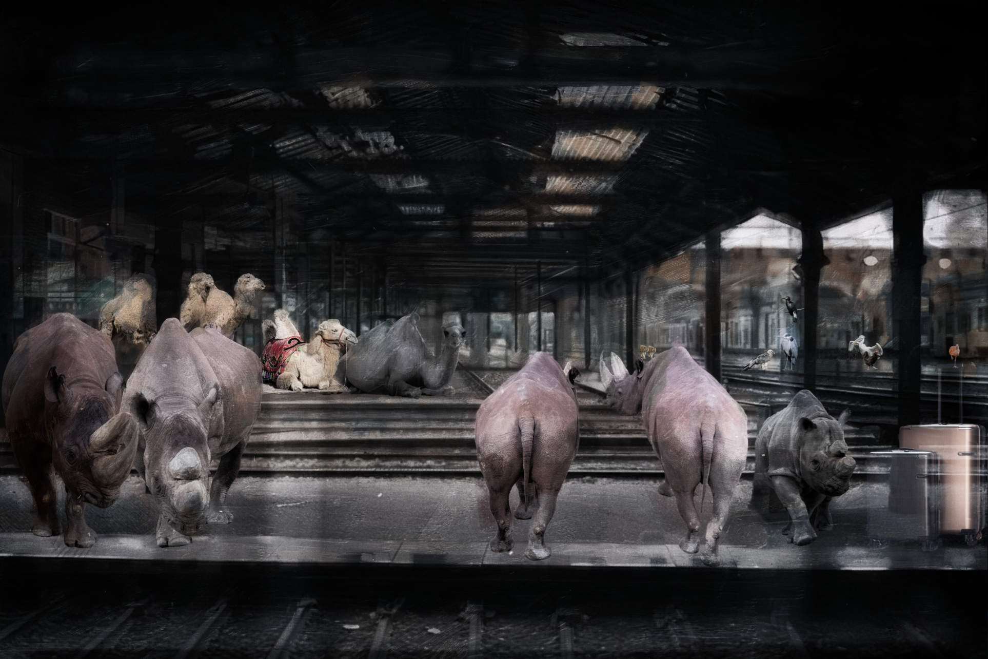 Waiting for the Night Train