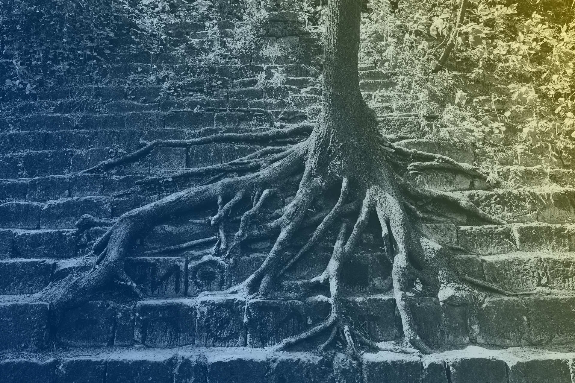 Blue and Yellow Though Black and Gray