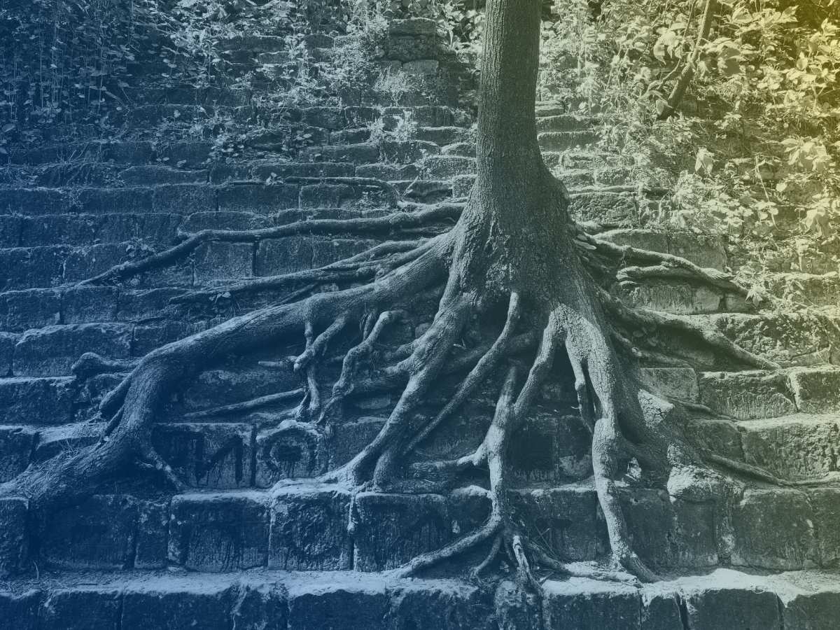 Blue and Yellow Through Black and&nbsp;Gray