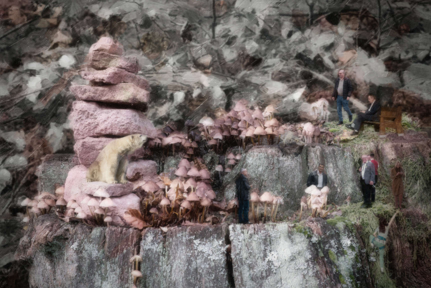 Where the Wild Mushrooms Grow