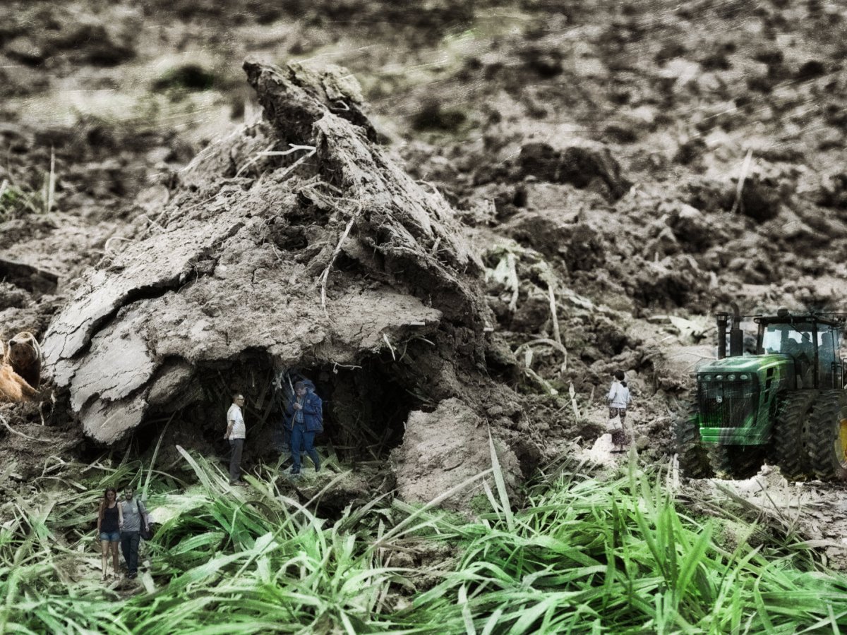 The Bears Are&nbsp;Hungry