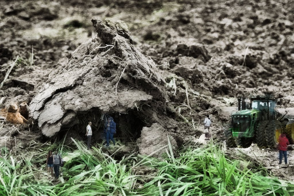 The Bears Are&nbsp;Hungry