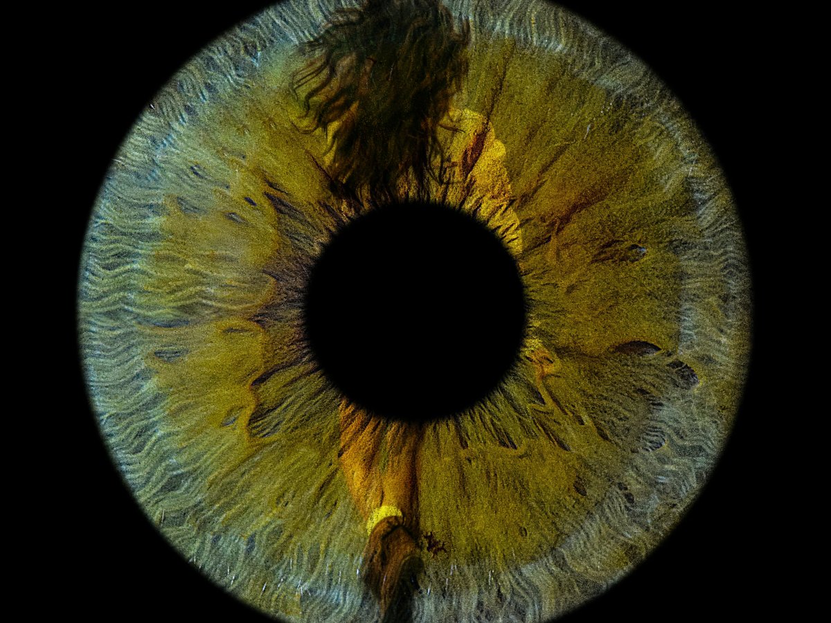 La Bête Noire – A Track Becomes a&nbsp;Story