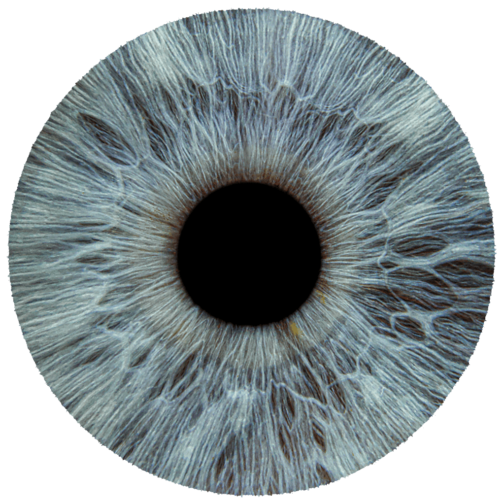 Meet the Eye: The Logo of Main Kritik